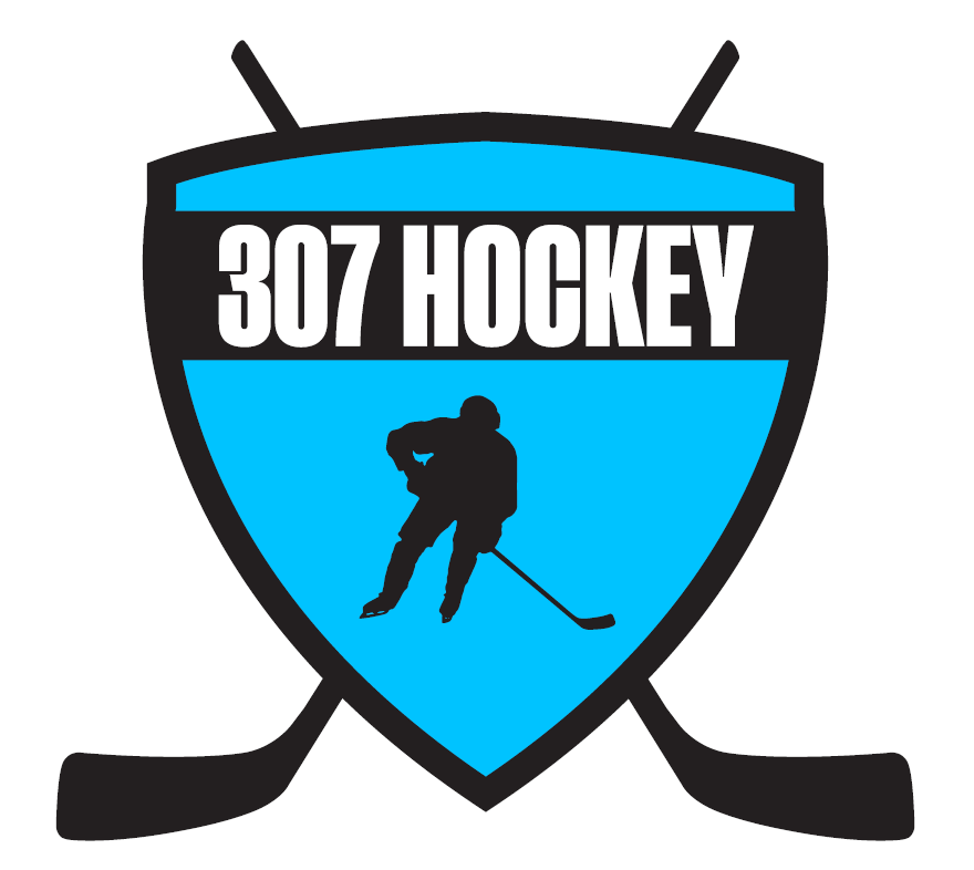 307 Hockey logo