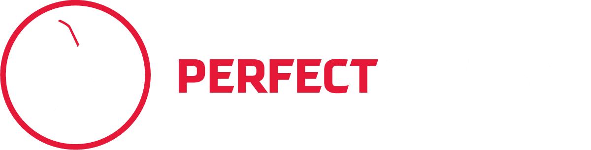 Perfect Skating logo