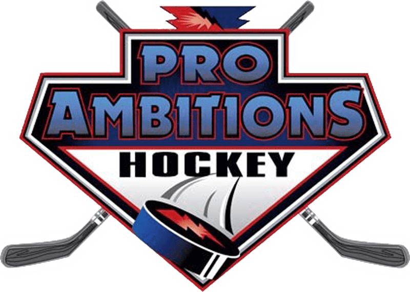 Pro Ambitions logo